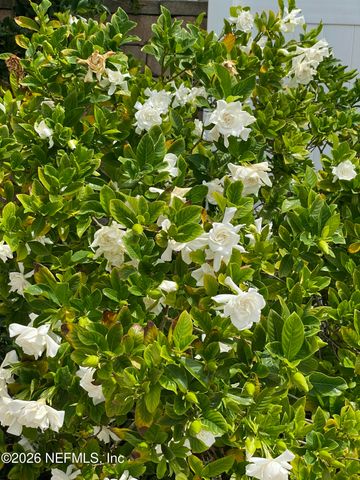 118 8TH Avenue N, Jacksonville Beach, FL 32250