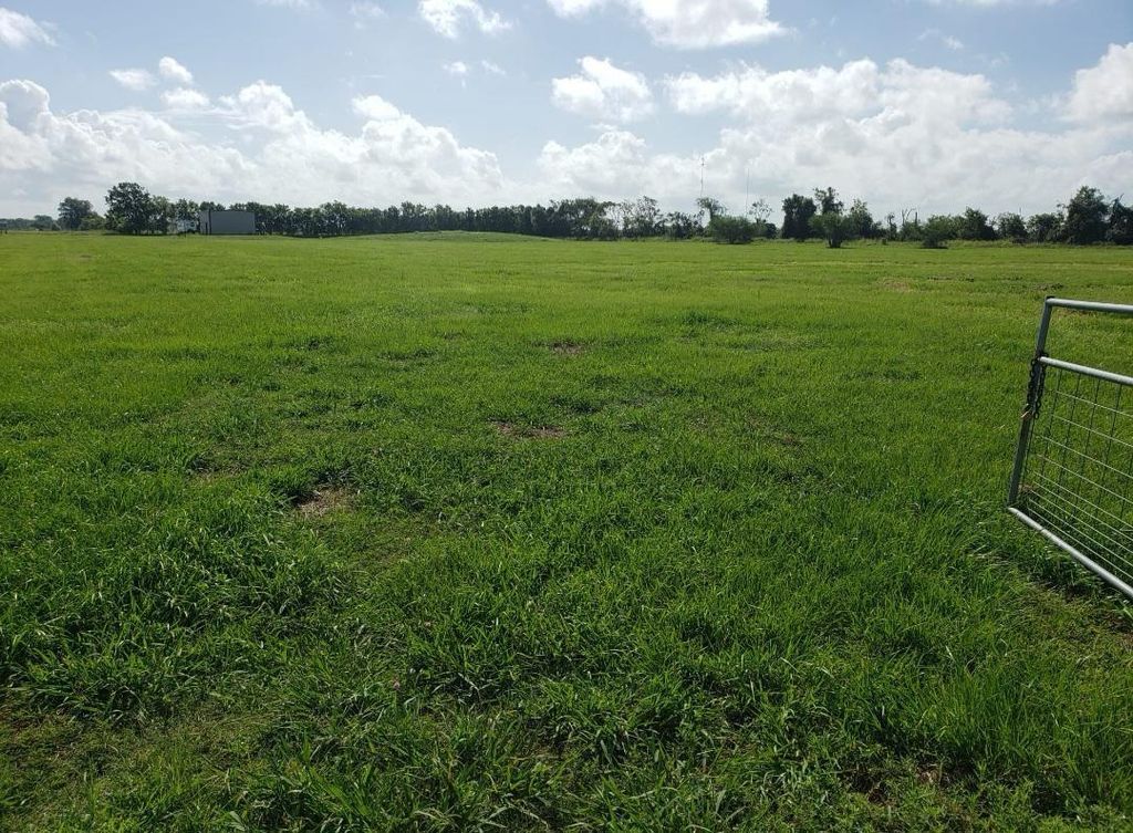 169 Timberline Drive, Bay City, TX 77414