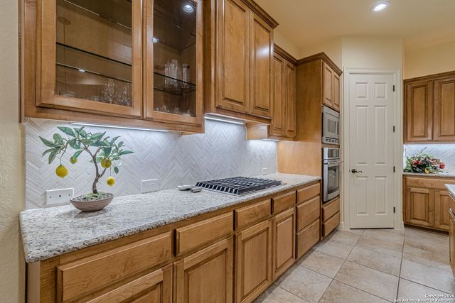 16006 N Huebner Bluff, San Antonio, TX 78248