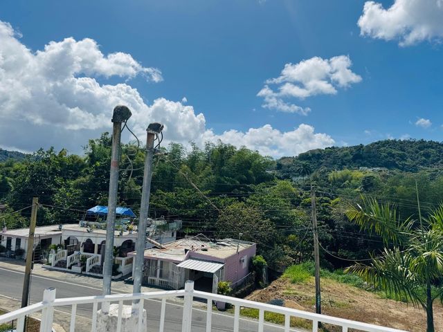 Carr 916 BARRIO CERRO GORDO, San Lorenzo, PR 00754