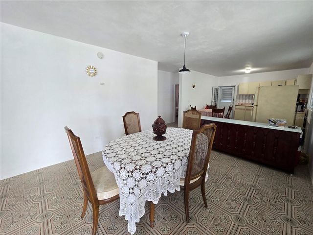 Carr 916 BARRIO CERRO GORDO, San Lorenzo, PR 00754