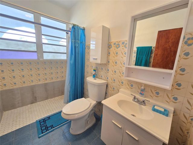 Carr 916 BARRIO CERRO GORDO, San Lorenzo, PR 00754