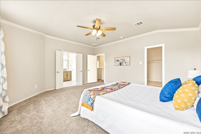 25622 Texas Ash, San Antonio, TX 78261