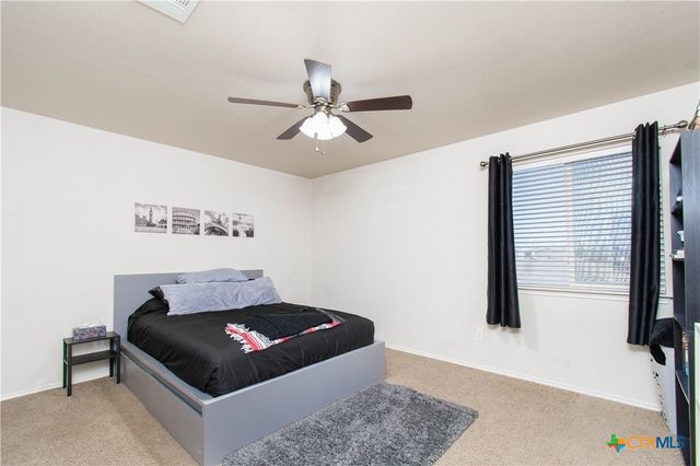 10004 Birch Tree Drive, Temple, TX 76502