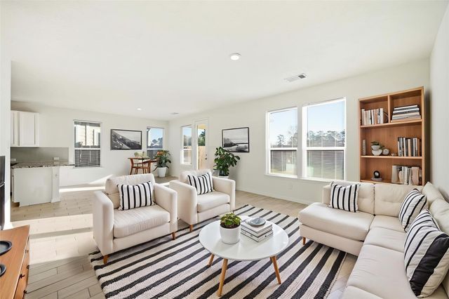 17210 Rock Willow Lane, Tomball, TX 77377