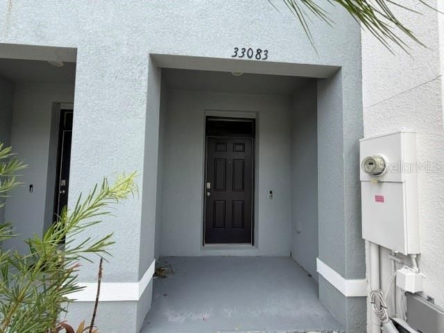 33083 FROSTED CLOVER WAY, Wesley Chapel, FL 33545