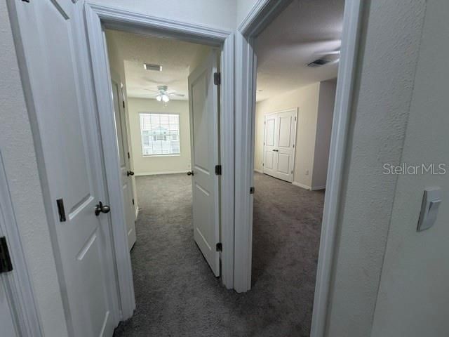 33083 FROSTED CLOVER WAY, Wesley Chapel, FL 33545