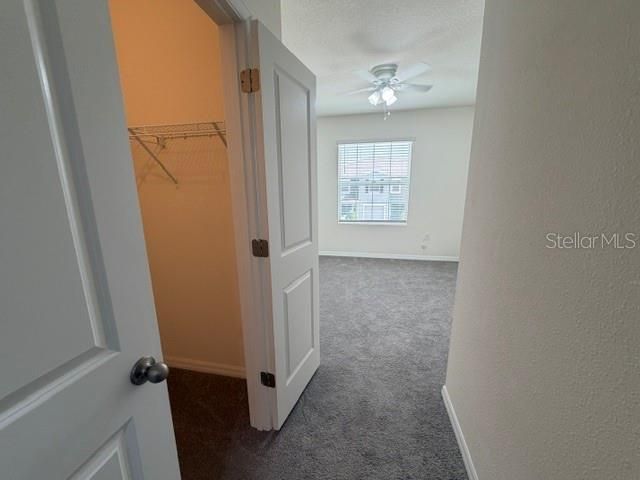 33083 FROSTED CLOVER WAY, Wesley Chapel, FL 33545