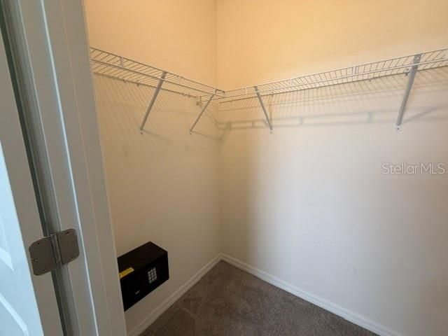 33083 FROSTED CLOVER WAY, Wesley Chapel, FL 33545