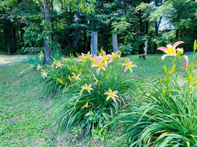 82 Quisenberry Road, Morehead, KY 40351