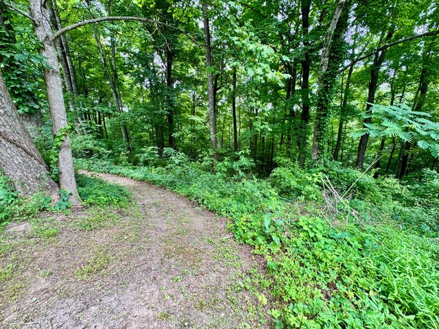 82 Quisenberry Road, Morehead, KY 40351