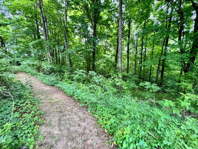 82 Quisenberry Road, Morehead, KY 40351
