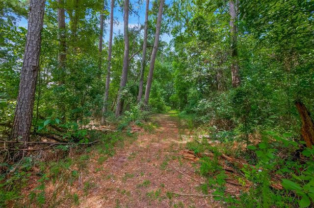 356 Fm 247 Road, Huntsville, TX 77320