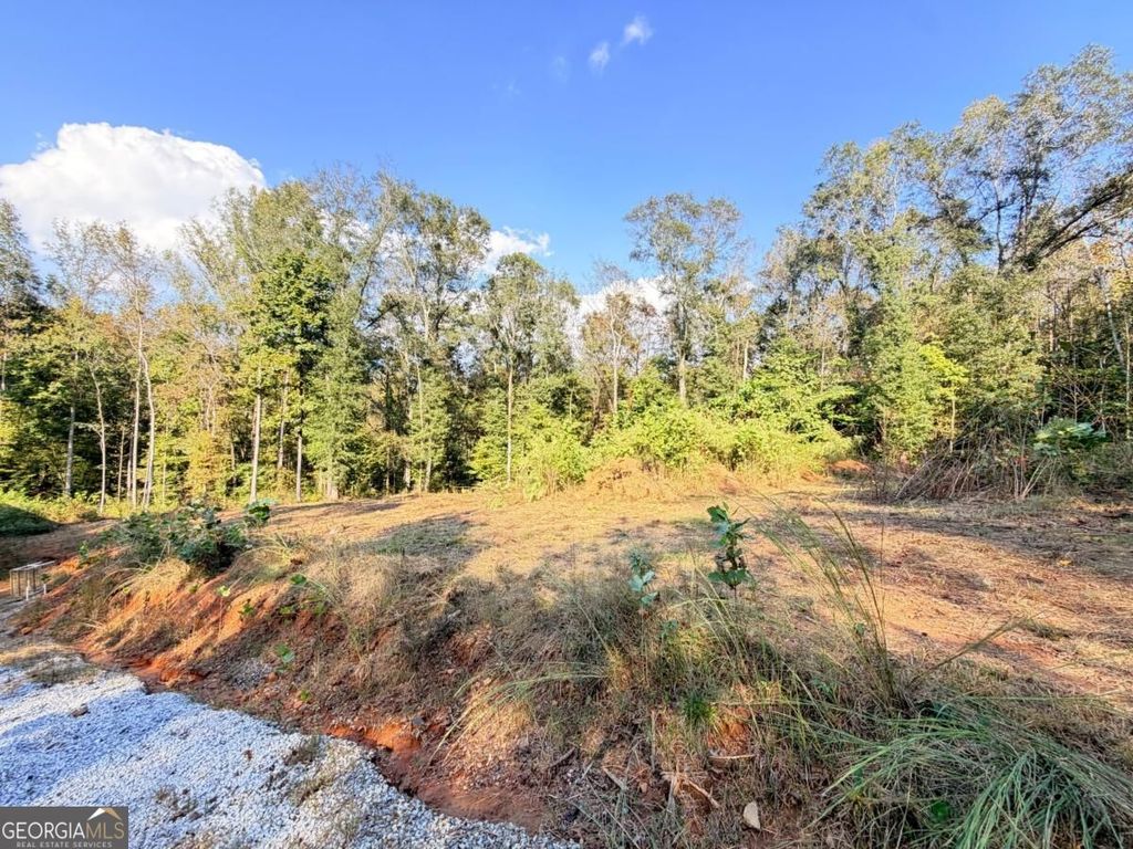115 Mary Lane, Maysville, GA 30558 — photo 3