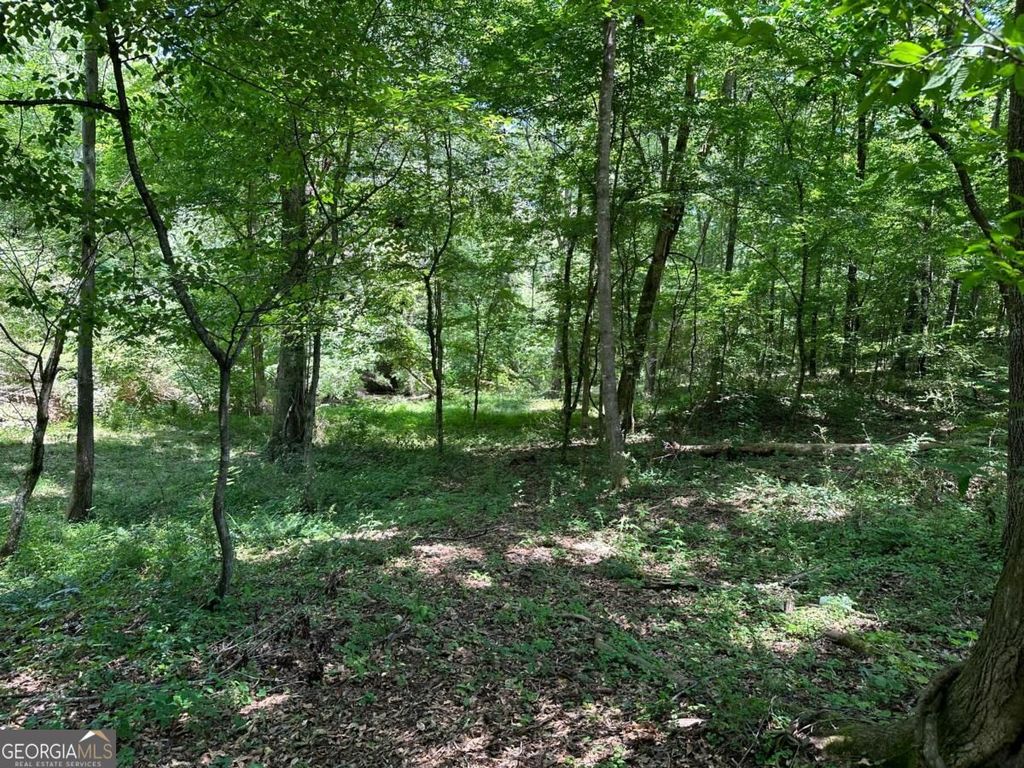 115 Mary Lane, Maysville, GA 30558 — photo 5