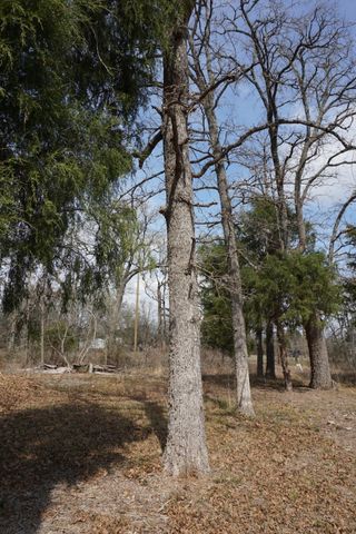 1698 Doc Holiday Dr, Log Cabin, TX 75148