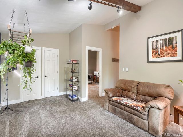 31289 Florence Road, Conifer, CO 80433