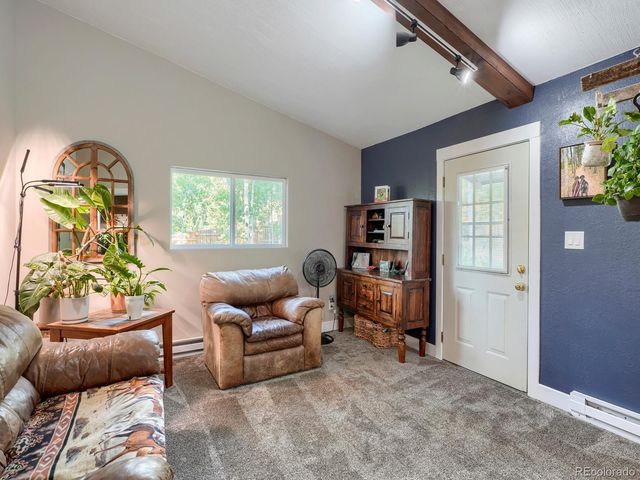 31289 Florence Road, Conifer, CO 80433