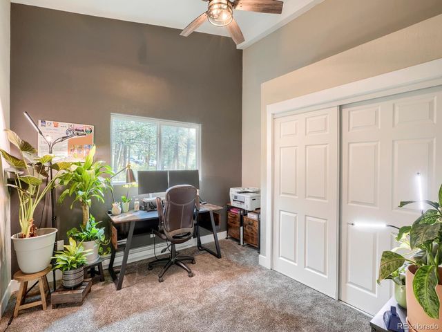 31289 Florence Road, Conifer, CO 80433