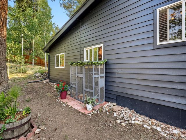 31289 Florence Road, Conifer, CO 80433