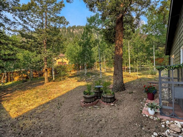 31289 Florence Road, Conifer, CO 80433