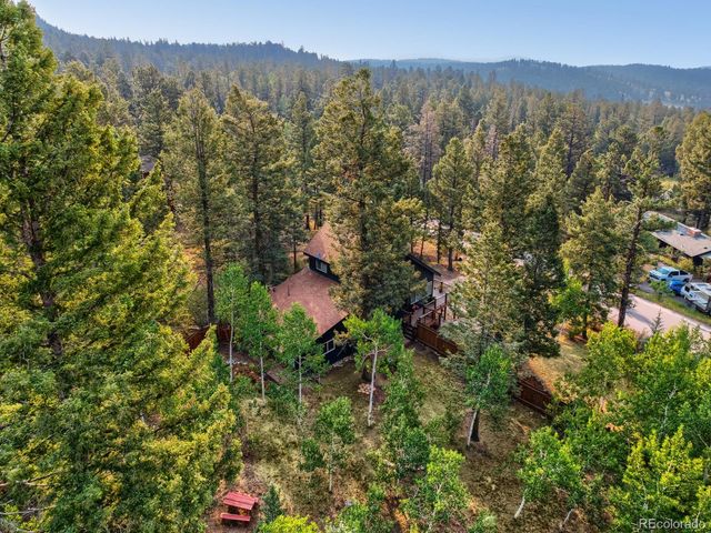 31289 Florence Road, Conifer, CO 80433