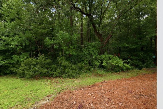 3318 Conservancy Lane, Charleston, SC 29414
