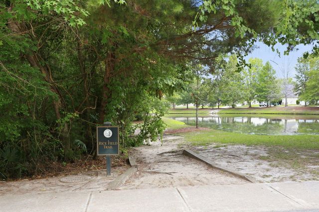3318 Conservancy Lane, Charleston, SC 29414