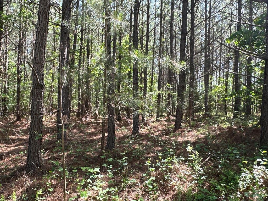 0 West Gretna Road, Gretna, VA 24557