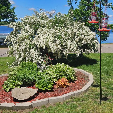 10458 Angler Drive, Grey Eagle, MN 56336