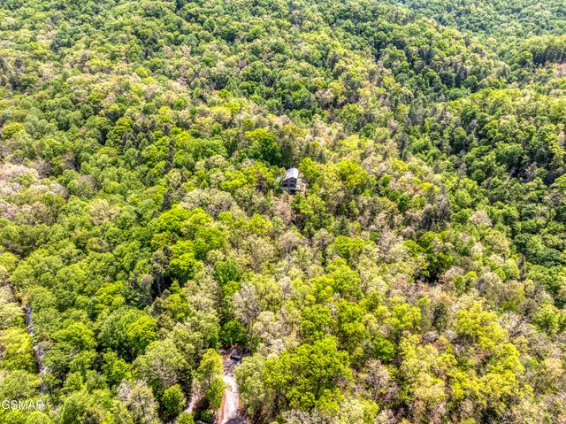 2210 Turkey Roost Road, Walland, TN 37886
