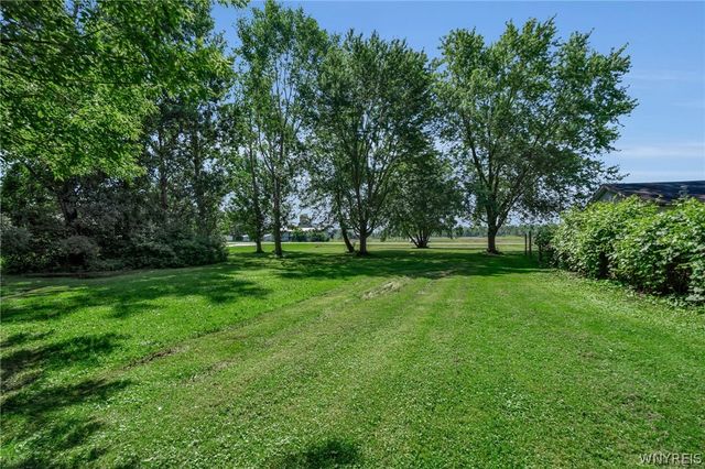 6481 Hatter Road, Newfane, NY 14108