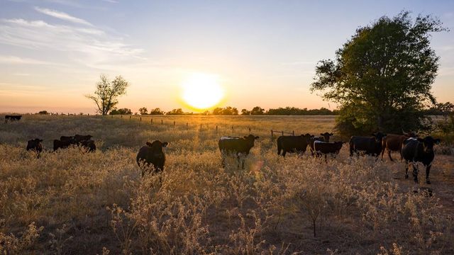 T-5 Providence Road, Calvert, TX 77837