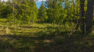 Lot 3 Shortcut DR, Woolwine, VA 24185