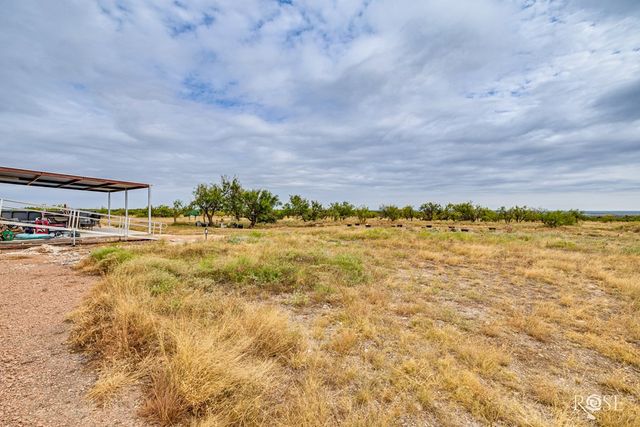 3241 Hwy 87, Eden, TX 76837