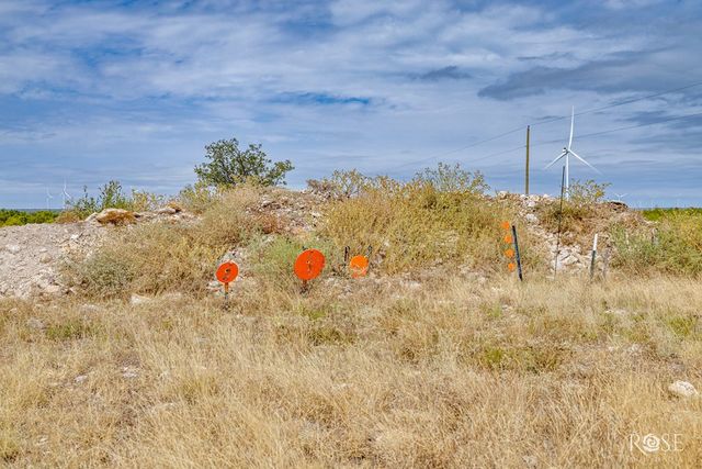 3241 Hwy 87, Eden, TX 76837