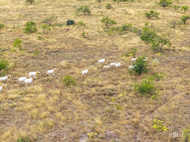 3241 Hwy 87, Eden, TX 76837