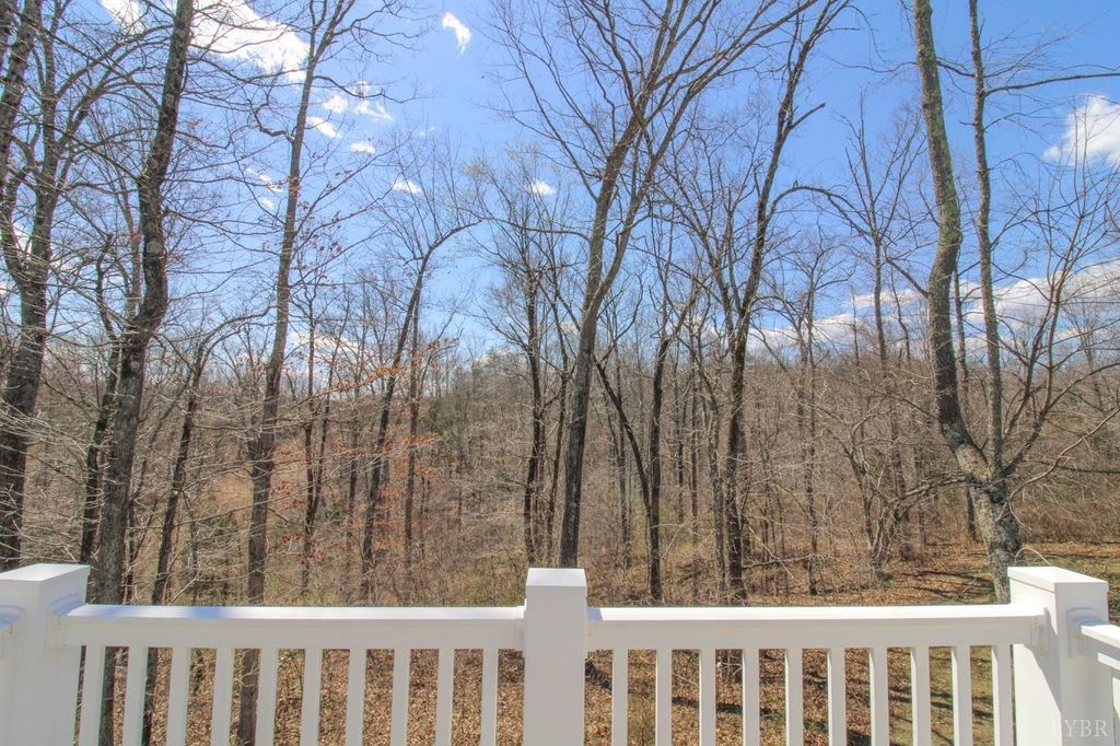 Image 32 of property listing at 268 Oak Spring Lane, Madison Heights, VA 24572