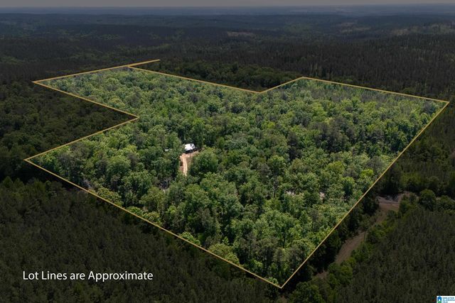 2273 HIGHWAY 54, Montevallo, AL 35115