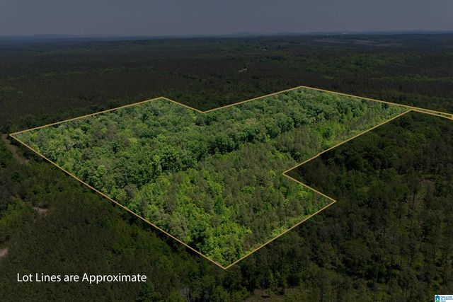 2273 HIGHWAY 54, Montevallo, AL 35115