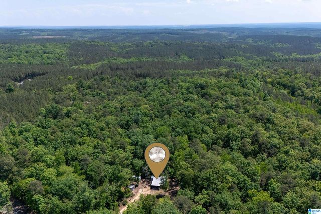 2273 HIGHWAY 54, Montevallo, AL 35115