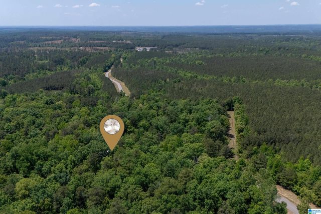 2273 HIGHWAY 54, Montevallo, AL 35115