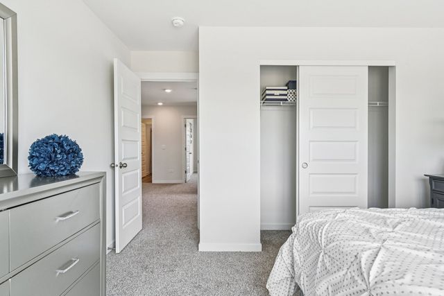 1203 Tiger Lily Drive, Bartlett, IL 60103