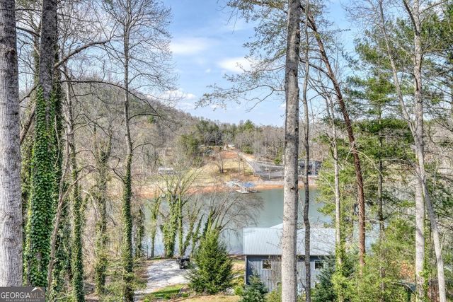 390 Bursey Road, Hiawassee, GA 30546