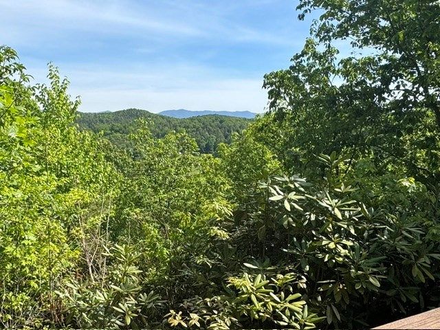 385 Vc Park Road, Marble, NC 28905
