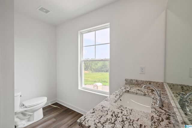45 STEVENS COVE DRIVE, Margaret, AL 35004