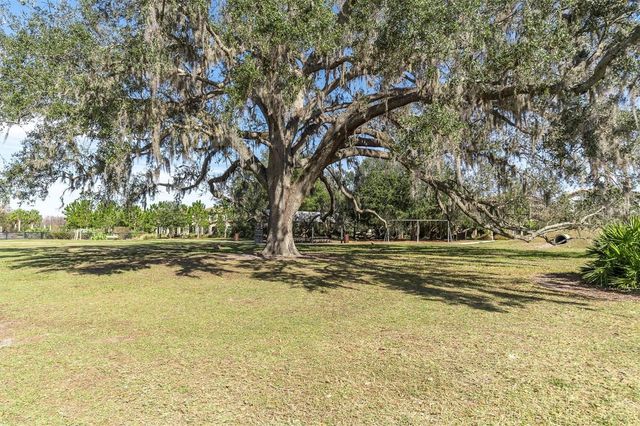 12303 CORKFIELD LANE, Odessa, FL 33556