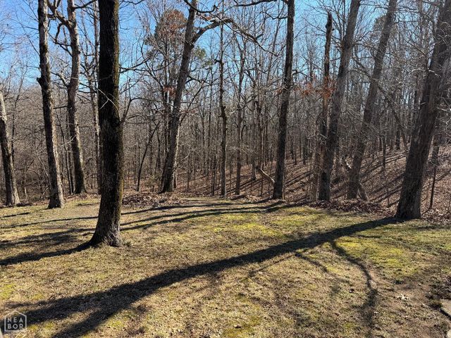 3784 Greene 707 Road, Paragould, AR 72450