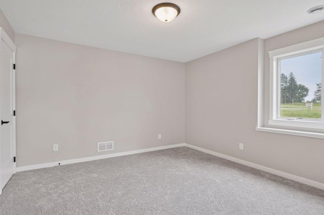 18022 Urbank Street NE, Ham Lake, MN 55304