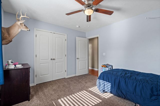 424 Columbine Street, Rogersville, MO 65742